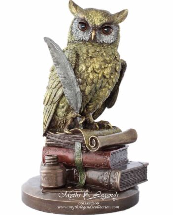 Wise Owl