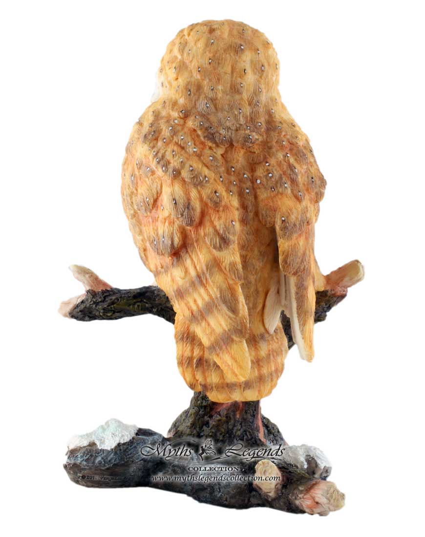 Barn Owl