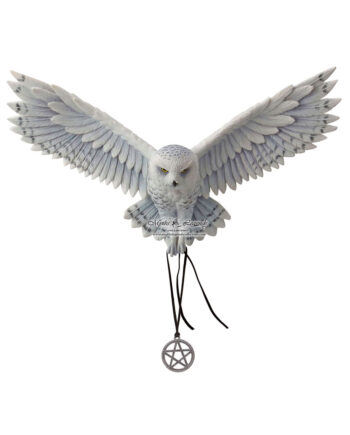Owl of Foresight